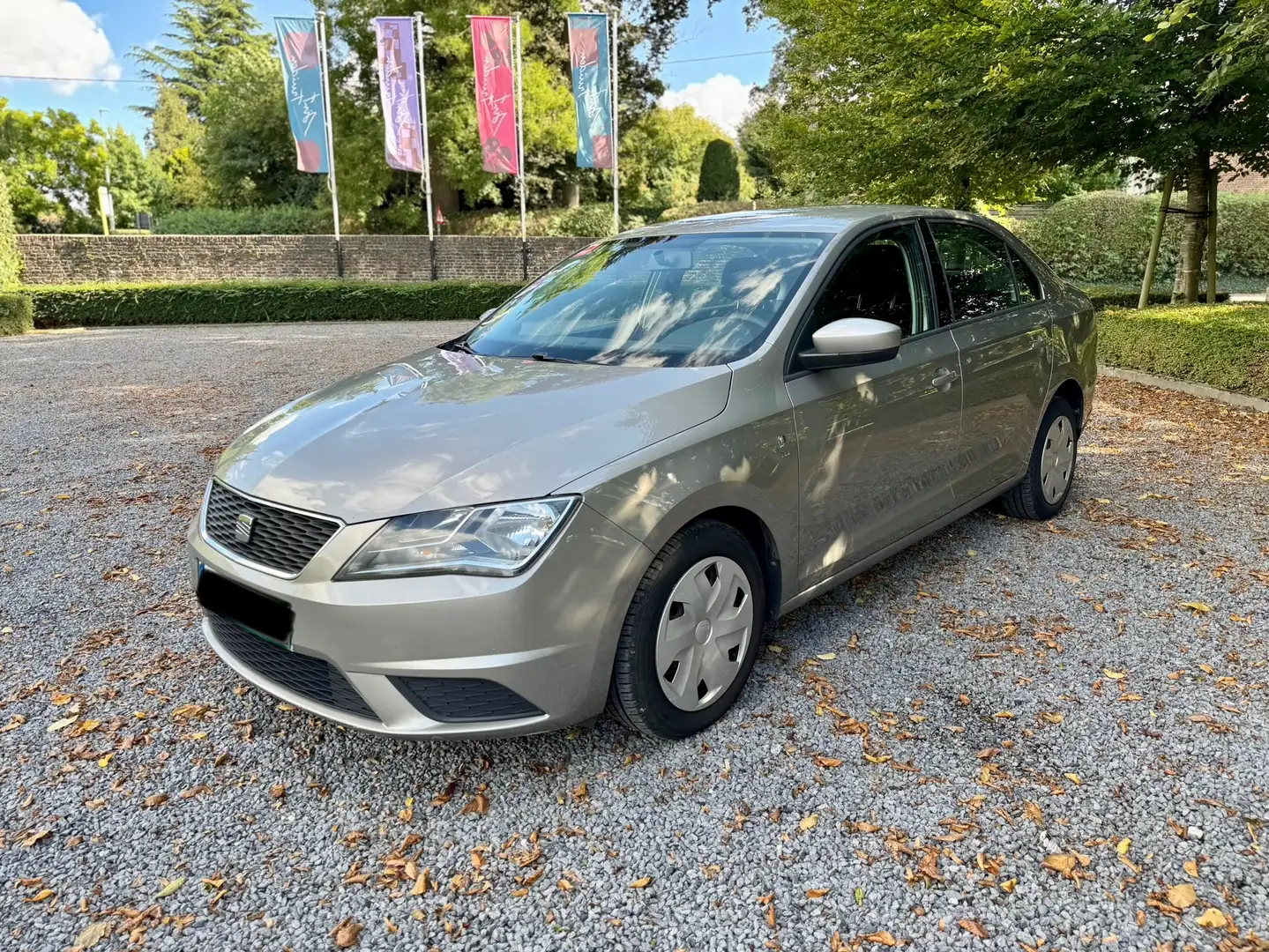 SEAT Toledo 1.6tdi 105pk Airco Euro5 Gris - 1