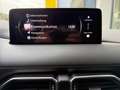 Mazda CX-5 CD184 Skyactive D AWD Homura Grau - thumbnail 16