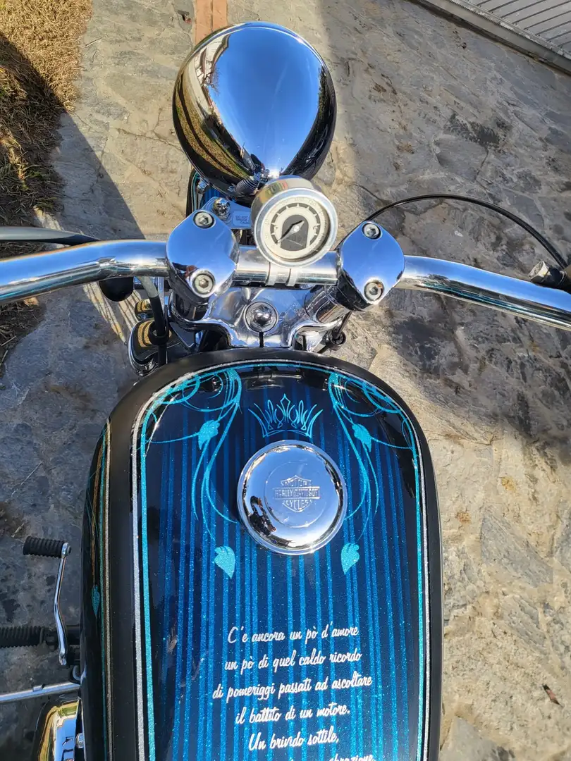 Harley-Davidson Softail Springer 1450 Blu/Azzurro - 2