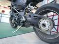 MV Agusta Brutale 910 Wally Fekete - thumbnail 7