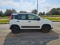 Fiat Panda 1.3 MJT 95 CV S&S 4x4 AUTOVETTURA Blanc - thumbnail 4