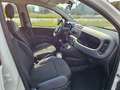 Fiat Panda 1.3 MJT 95 CV S&S 4x4 AUTOVETTURA Blanc - thumbnail 15