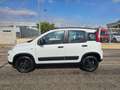Fiat Panda 1.3 MJT 95 CV S&S 4x4 AUTOVETTURA Blanc - thumbnail 10