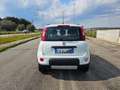 Fiat Panda 1.3 MJT 95 CV S&S 4x4 AUTOVETTURA Blanc - thumbnail 6