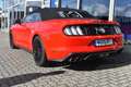 Ford Mustang GT Convertible Rot - thumbnail 4
