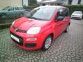 Fiat Panda Panda III 2016 1.2 Easy easypower Gpl 69cv my19 Rouge - thumbnail 1