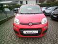 Fiat Panda Panda III 2016 1.2 Easy easypower Gpl 69cv my19 Rouge - thumbnail 2