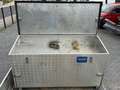 Mitsubishi Canter FUSO CANTER 3,5T DREISEITENKIPPER AUTOMATIK AHK Weiß - thumbnail 35