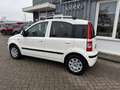 Fiat Panda 1.2 Sempre Blanco - thumbnail 2