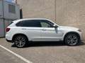 BMW X5 xDrive25d High Executive | Dakota Leder | Harman K Wit - thumbnail 7