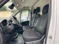 Fiat Ducato 35q L3H2 2.2 Mjt 140CV Bianco - thumbnail 8
