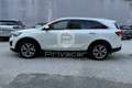 Kia Sorento Sorento 2.2 CRDi AWD Feel Rebel Blanc - thumbnail 8