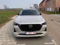 Mazda CX-60 CX-60 AWD PHEV Aut. HOMURA Beige - thumbnail 8