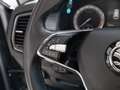 Skoda Kodiaq AHK Business-Paket Amundsen DAB+ ACC SHZ Grau - thumbnail 12