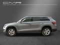 Skoda Kodiaq AHK Business-Paket Amundsen DAB+ ACC SHZ Grau - thumbnail 4