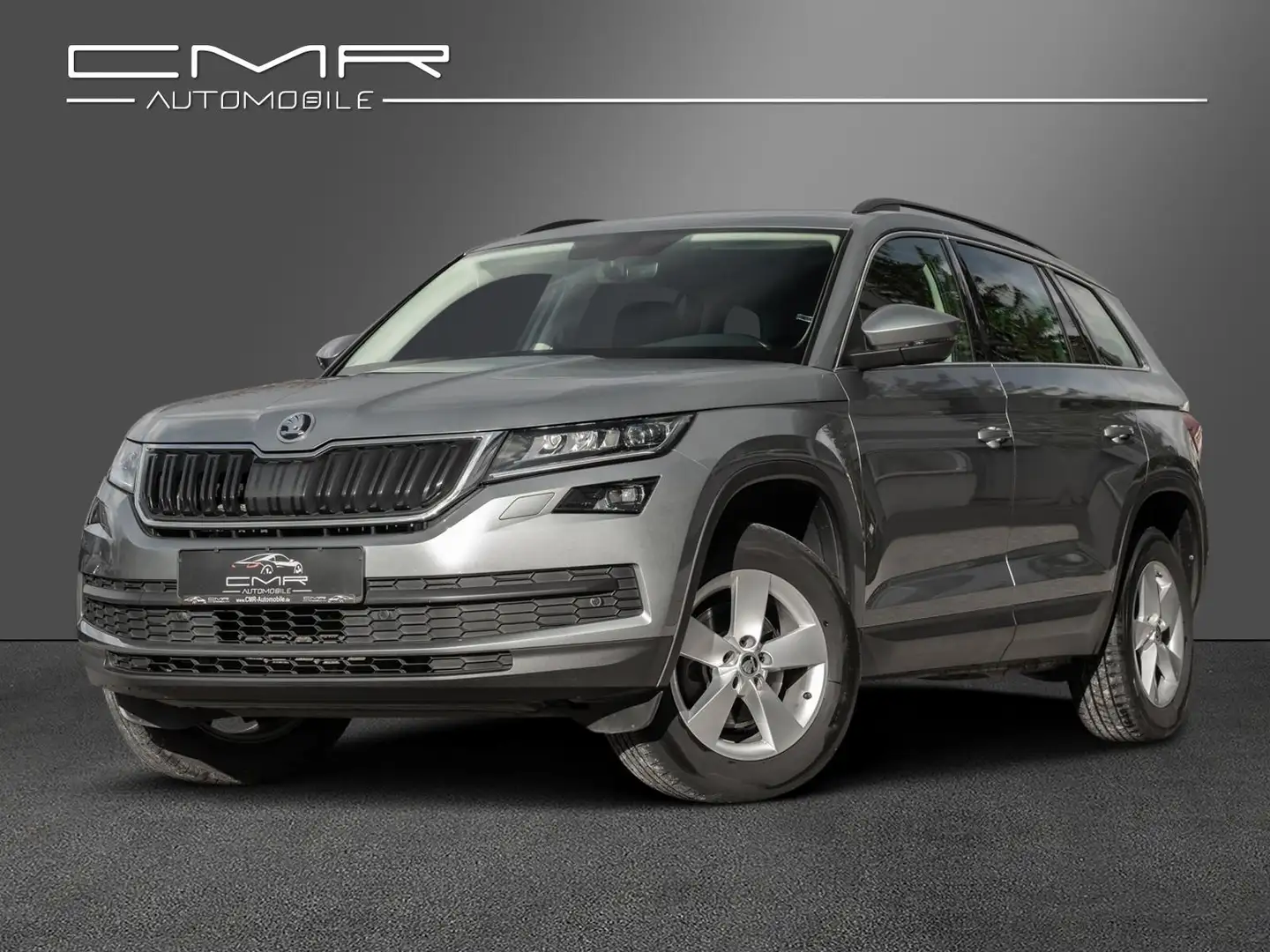 Skoda Kodiaq AHK Business-Paket Amundsen DAB+ ACC SHZ Grau - 1