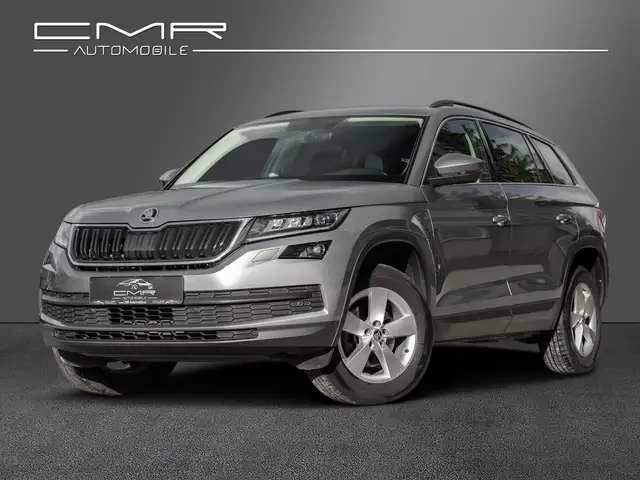 Skoda Kodiaq AHK Business-Paket Amundsen DAB+ ACC SHZ