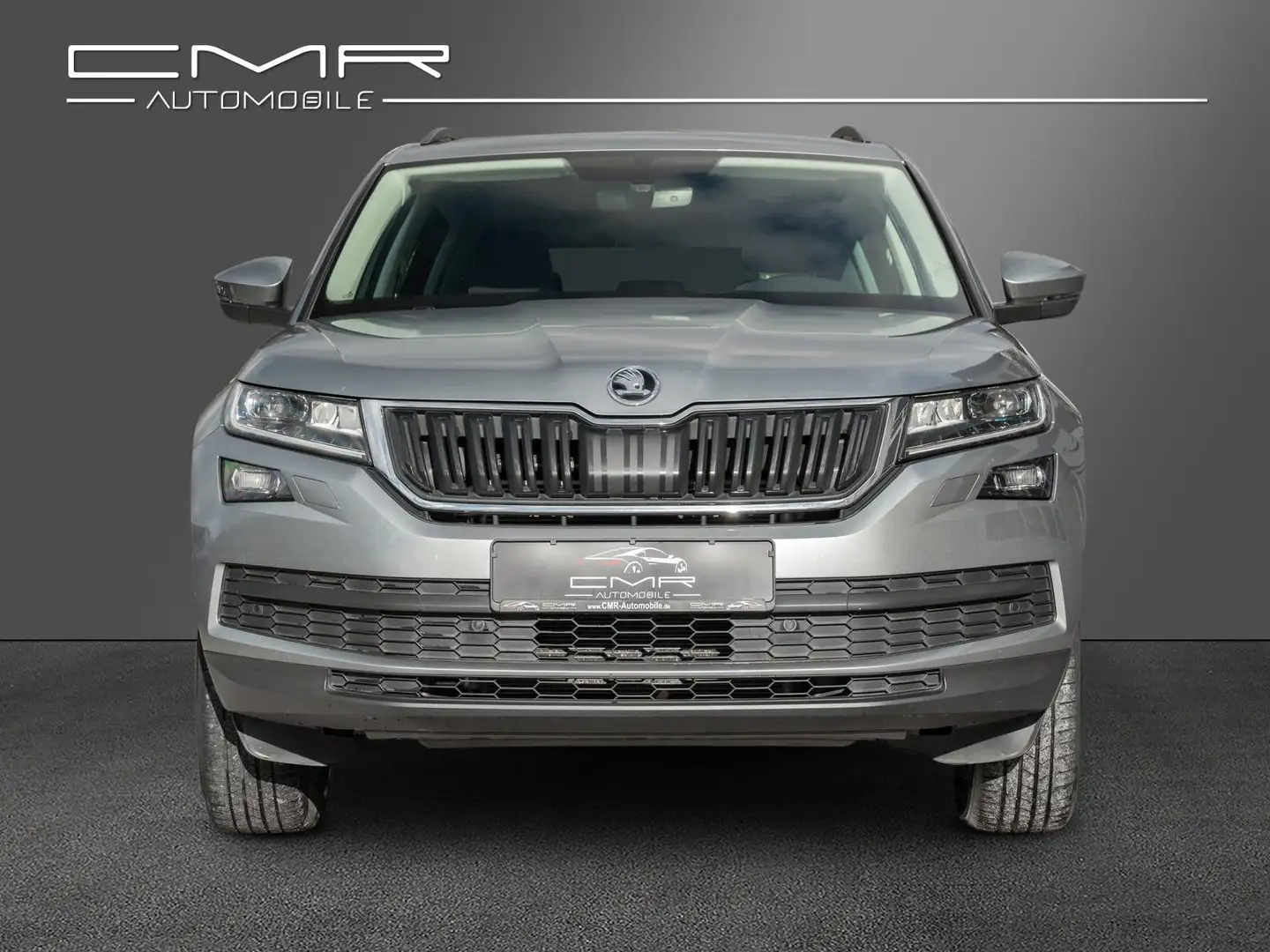 Skoda Kodiaq AHK Business-Paket Amundsen DAB+ ACC SHZ Grau - 2