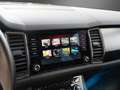 Skoda Kodiaq AHK Business-Paket Amundsen DAB+ ACC SHZ Grau - thumbnail 14