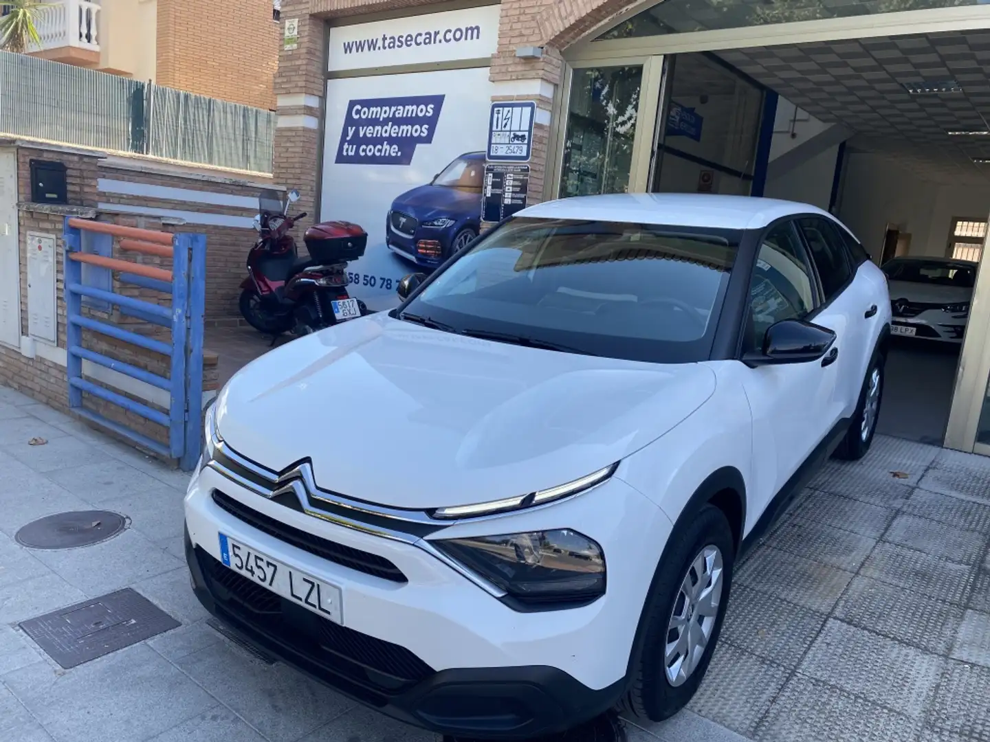 Citroen C4 1.5 BlueHDI S&S Live Pack 110 Blanc - 2