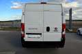 Fiat Ducato Ducato 35 L2H2 140 *1.Besitz* Net 13750 €* Weiß - thumbnail 17