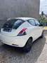 Lancia Ypsilon Ypsilon 1.0 FireFly 5 porte S&S Hybrid Ecochic Gol Weiß - thumbnail 3