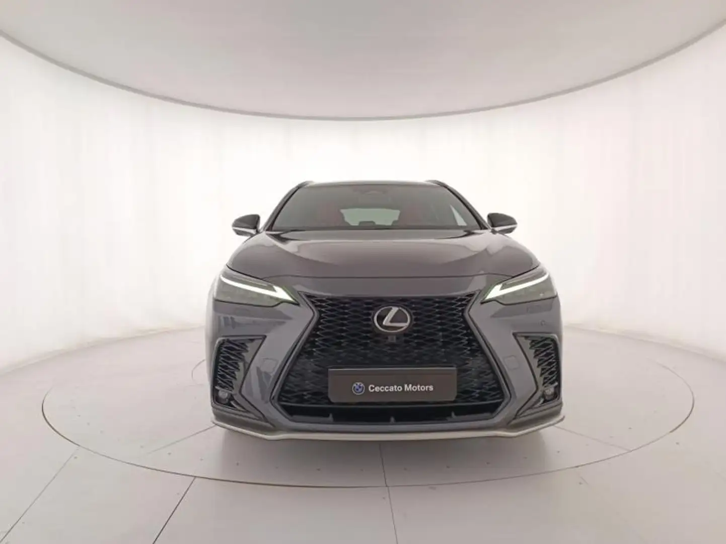 Lexus NX 200t 2.5 plug-in F-Sport 4wd e-cvt Gris - 2