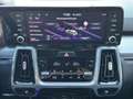 Kia Sorento Platinum 4WD Hybrid 6Sitzer Leder Pano Grau - thumbnail 17