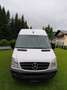 Mercedes-Benz Sprinter Sprinter 313 CDI HD 3,5 t/4.025 mm Weiß - thumbnail 2