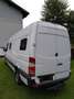 Mercedes-Benz Sprinter Sprinter 313 CDI HD 3,5 t/4.025 mm Weiß - thumbnail 5