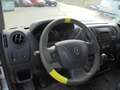 Renault Master Master L1H1 Kasten 3,3t - nur Gewerbe/Export Alb - thumbnail 9