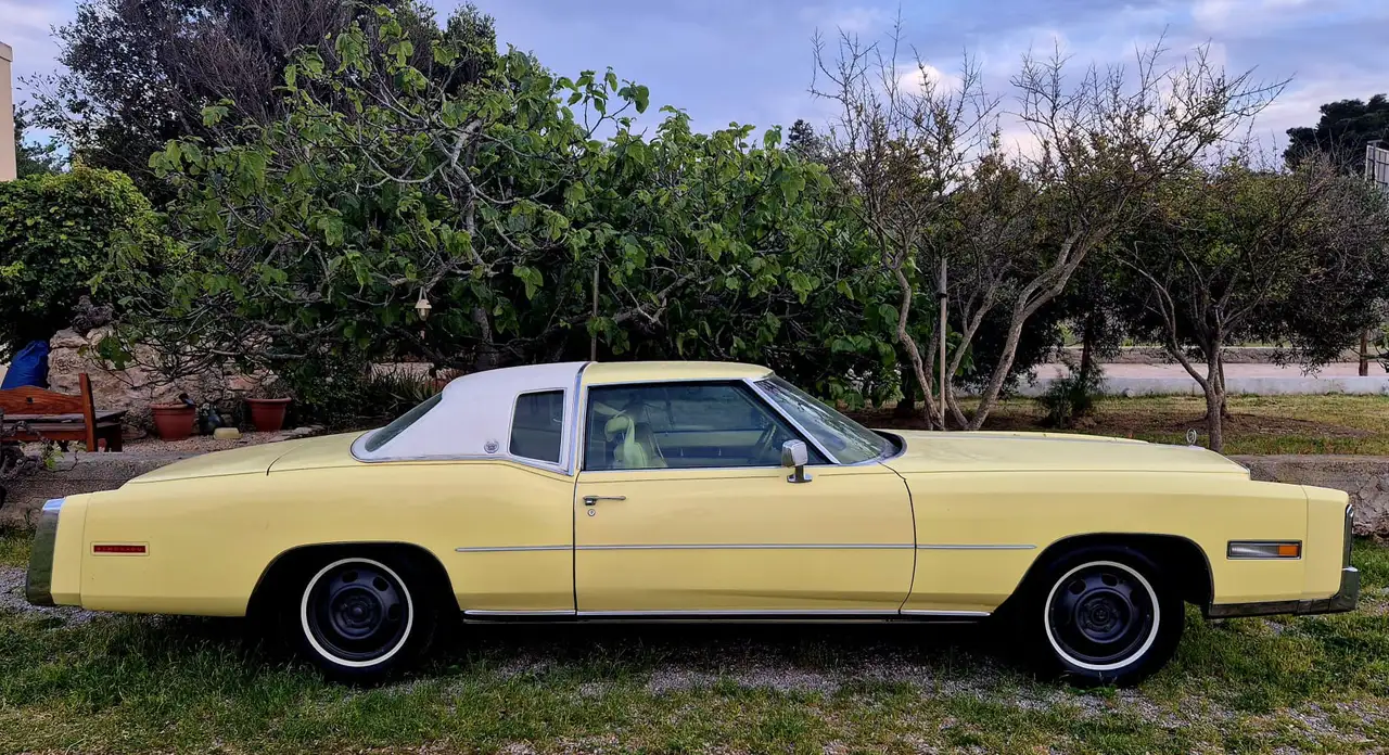 Cadillac Eldorado Fleetwood body by Fisher survivor, foto 2