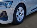 Audi e-tron 55 quattro s-line PANO Stadt To Beige - thumbnail 9