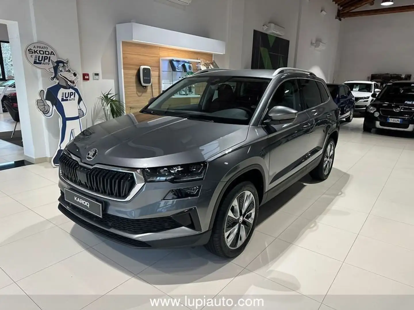 Skoda Karoq 2.0 TDI EVO SCR 115 CV Selection Grigio - 1