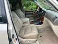 Lexus LX 470 V8 Benzine ( Toyota Landcruiser 100 ) 7 Persoons Y Weiß - thumbnail 13
