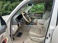 Lexus LX 470 V8 Benzine ( Toyota Landcruiser 100 ) 7 Persoons Y Weiß - thumbnail 9