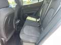 Alfa Romeo Stelvio 2.2 Business rwd 190cv auto my19 Bianco - thumbnail 11
