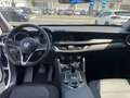 Alfa Romeo Stelvio 2.2 Business rwd 190cv auto my19 Bianco - thumbnail 10