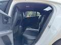 Jaguar XE R-Sport*BI-XENON*NAVI*MERIDIAN*SPUR*ACC* Blanc - thumbnail 14