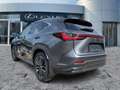 Lexus NX 450h+ Luxury Line HUD*Navi*4xSHZ*KAM*360 Gris - thumbnail 6