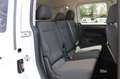 Volkswagen Caddy TDI DSG California Pano LED Navi ACC RFK Blanco - thumbnail 12