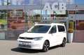 Volkswagen Caddy TDI DSG California Pano LED Navi ACC RFK Blanco - thumbnail 1