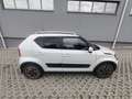Suzuki Ignis Ignis 1,2 DualJet Hybrid clear clear Weiß - thumbnail 1