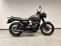 Triumph Bonneville T100 Brun - thumbnail 3