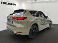Mazda CX-60 Homura Plus D-254 AWD mit Nappaleder, Panorama-Sch Grün - thumbnail 4