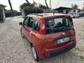Fiat Panda Panda 1.3 mjt 16v Dynamic 75cv Orange - thumbnail 7