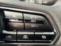 Mazda CX-60 3.3L e-SKYACTIV D AWD HOMURA Aut. Grau - thumbnail 14