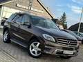 Mercedes-Benz ML 500 M -Klasse ML 500 Blueefficiency *AMG* Barna - thumbnail 1