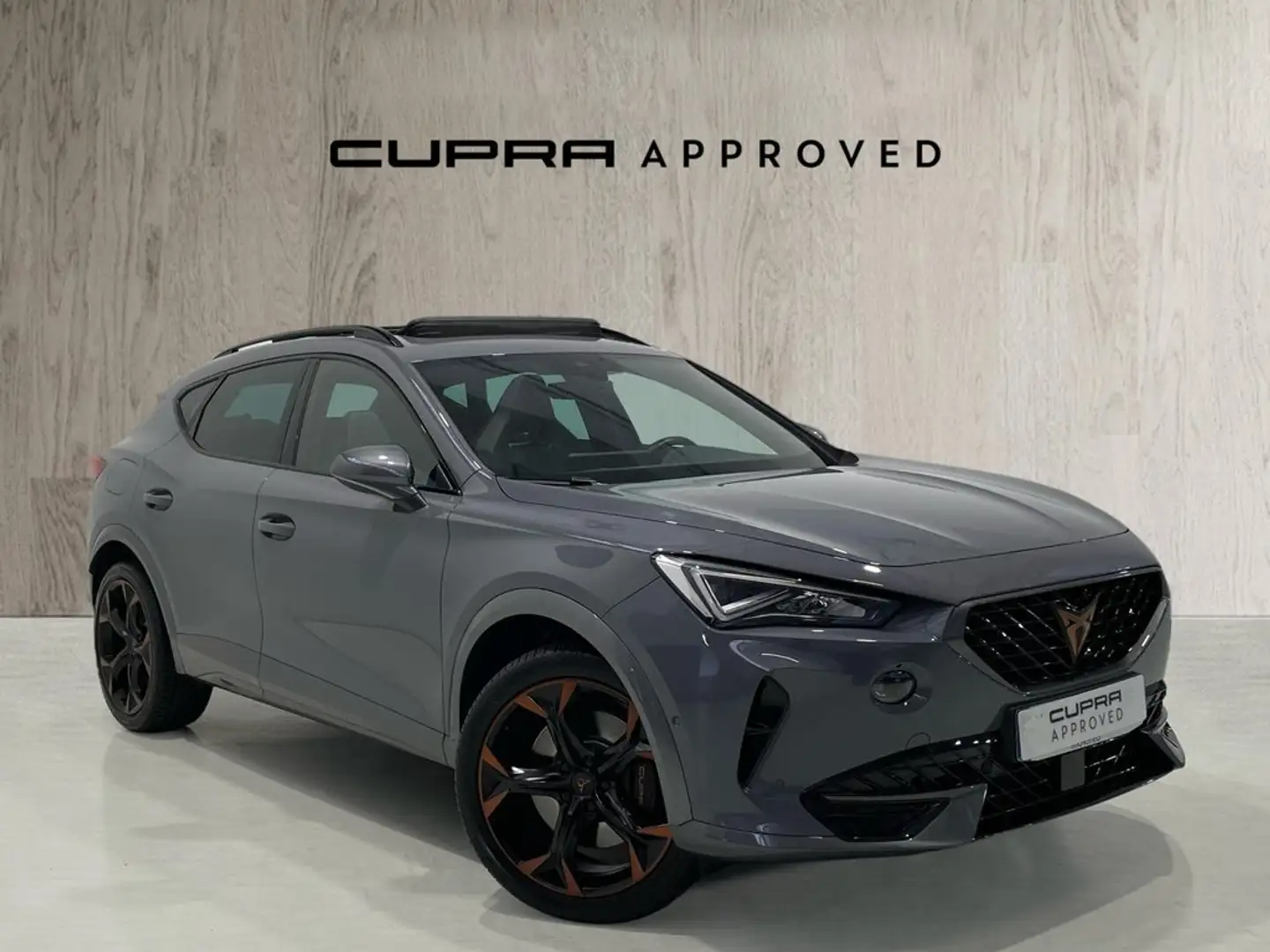 CUPRA Formentor 2.0 TSI 245 VZ DSG Gris - 1