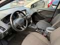 Ford Focus Titanium Blau - thumbnail 20